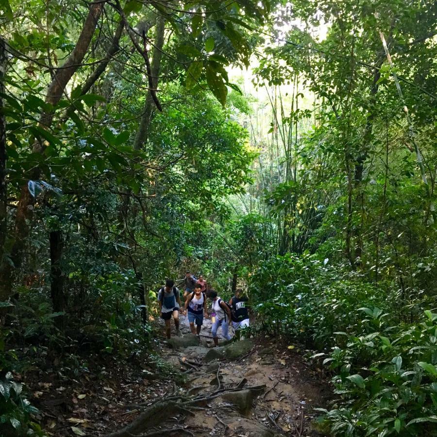 Jungle Lodge Vila do Abraao Ngoại thất bức ảnh