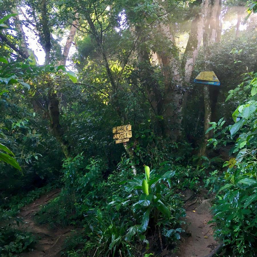 Jungle Lodge Vila do Abraao Ngoại thất bức ảnh