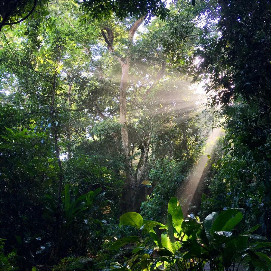 Jungle Lodge Vila do Abraao Ngoại thất bức ảnh